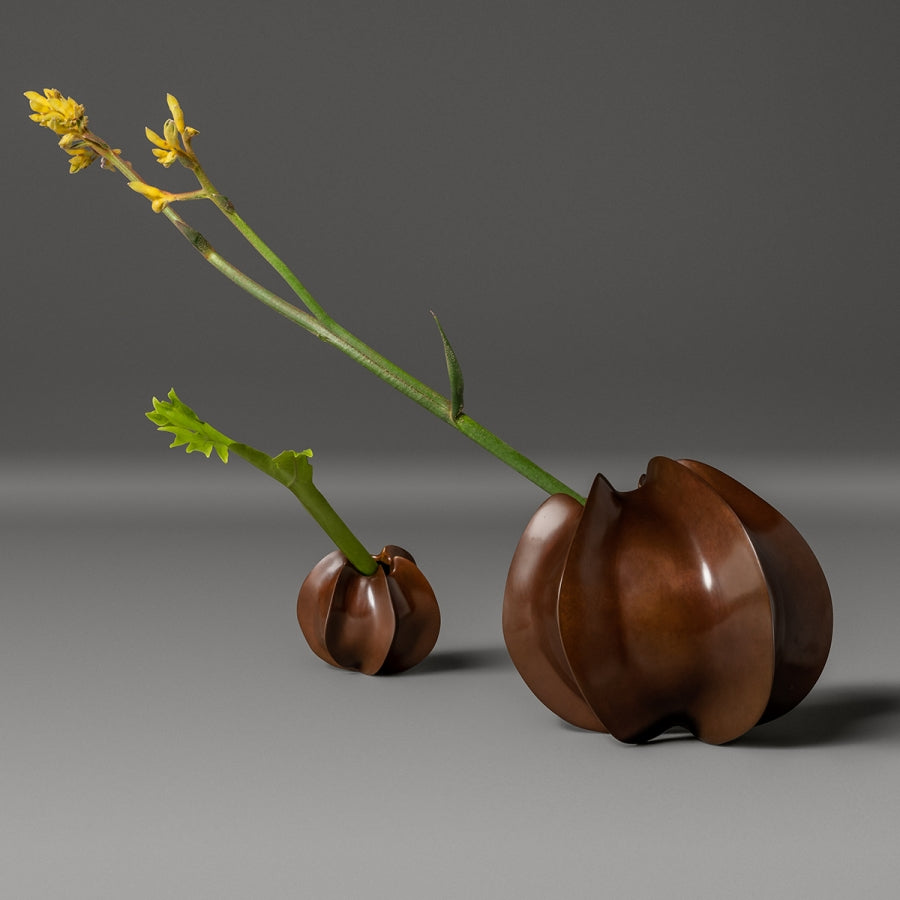 Star and Starlet Vessel